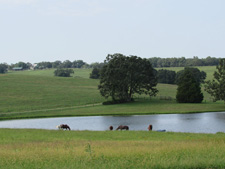 USA-Missouri-Ozarks Ranch Getaway